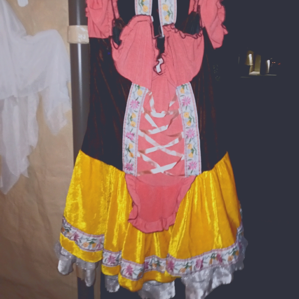 Bar wench costume